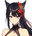 Meilin Fisher from Solo Leveling Manhwa